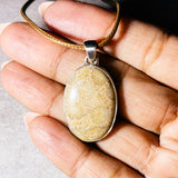 Coral fossil 925 pendant