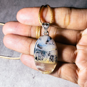 Graveyard Plume agate 925 pendant