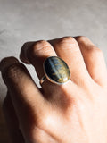 Blue tigers eye 925 adjustable ring