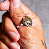 Dragon bloodstone 925 s10 ring