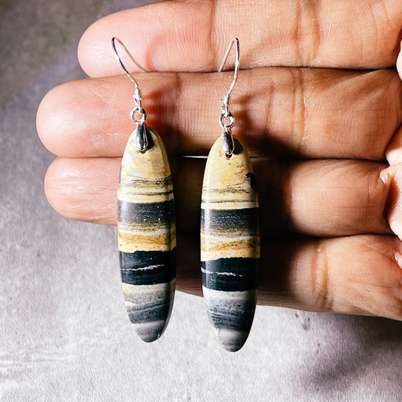 Petrified wood 925 earrings