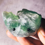 Fluorite hedgehog