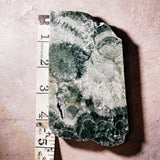 Seraphenite slab