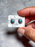 Turquoise conch sterling studs