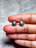 Turquoise conch sterling studs