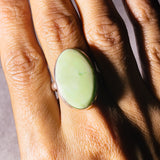 Citron Chrysoprase sz9.25 925 ring