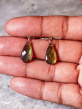 Labradorite 925 dangles