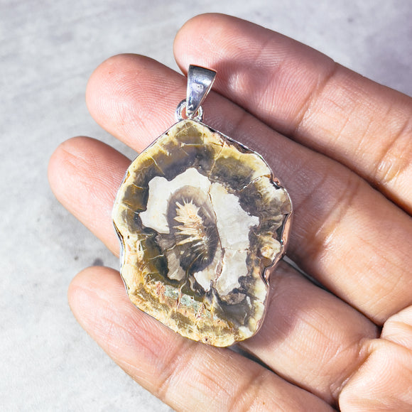 Petrified wood 925 pendant