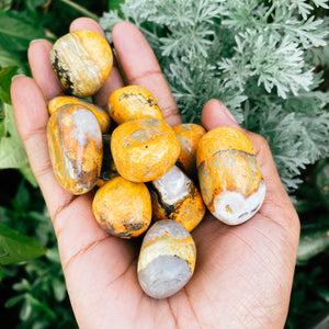 Bumblebee jasper tumble