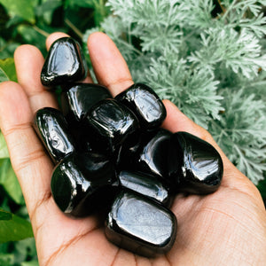 Elite Shungite tumble