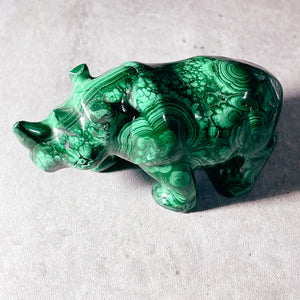 Malachite rhinoceros #96