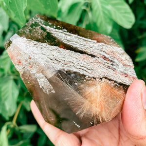 Rutile lodolite Quartz included freeform 3