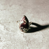 Eudialyte 925 sz6.5 ring