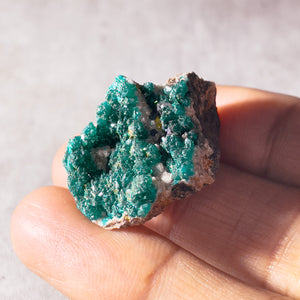 Dioptase specimen