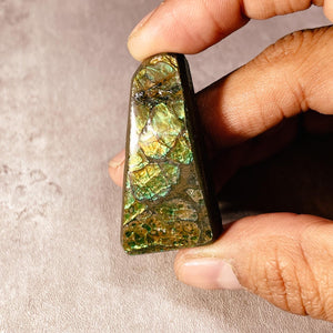 Ammolite