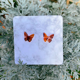 Baltic amber butterfly studs 925