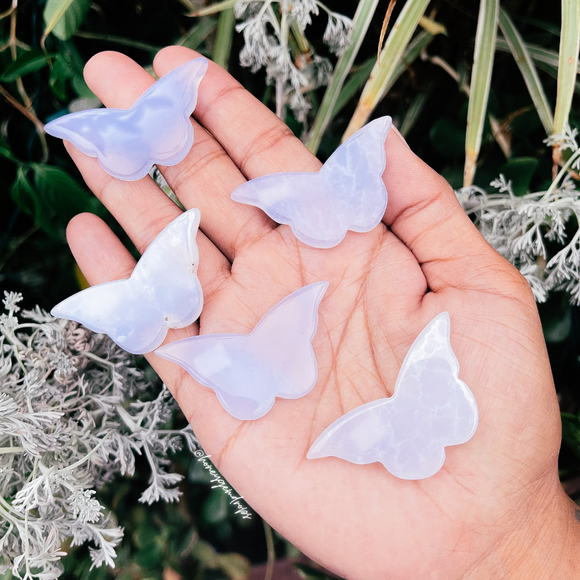 Blue chalcedony butterflies