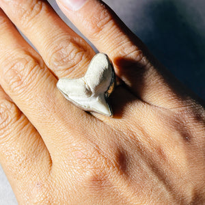 Shark tooth fossil 925 sz7.25 ring