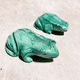 Malachite chrysocolla frogs