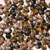 Mini chiastolite beans