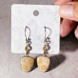 Coral fossil citrine 925 dangles